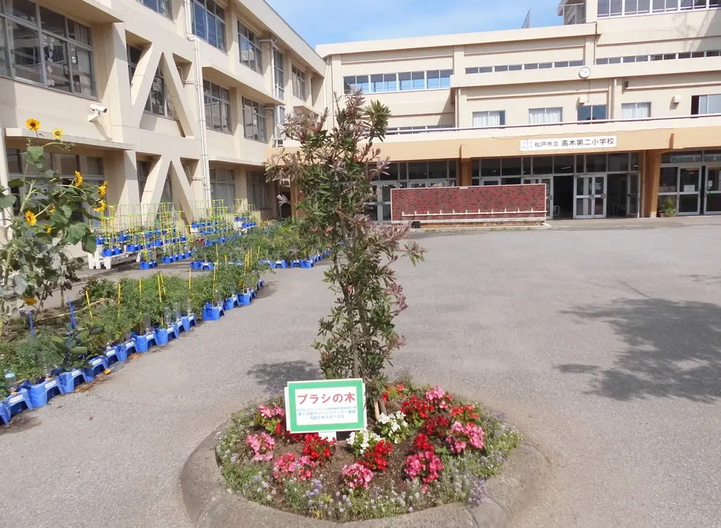 68年前に中学生が送った手紙をきっかけに、千葉県松戸市とオーストラリアホワイトホース市は姉妹都市提携55周年を迎えました 画像 4