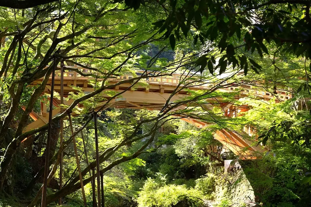 石川・山中温泉【6月1日～15日 ホタル観賞】ツアーと「那谷寺」拝観チケット付き宿泊プラン発売☆のどぐろ・能登牛を鉄板会席で 画像 17