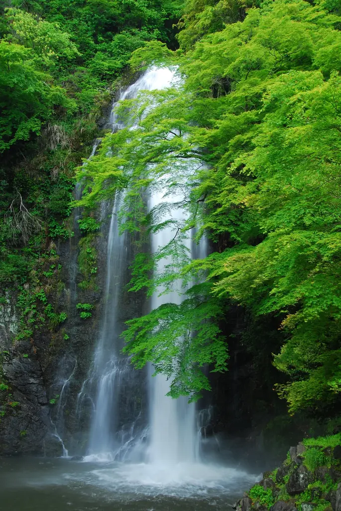 【開業20周年、感謝を込めて】料理旅館・明治の森箕面音羽山荘｜期間限定 宿泊20％OFFキャンペーン実施中 画像 13