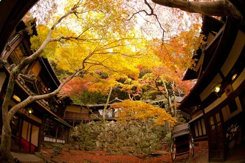 【開業20周年、感謝を込めて】料理旅館・明治の森箕面音羽山荘｜期間限定 宿泊20％OFFキャンペーン実施中 画像 15
