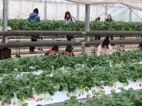 東京のギャルたちが御殿場を町おこし？！東京JK×御殿場JKが“若者目線”で地域の魅力を再発見 画像 4
