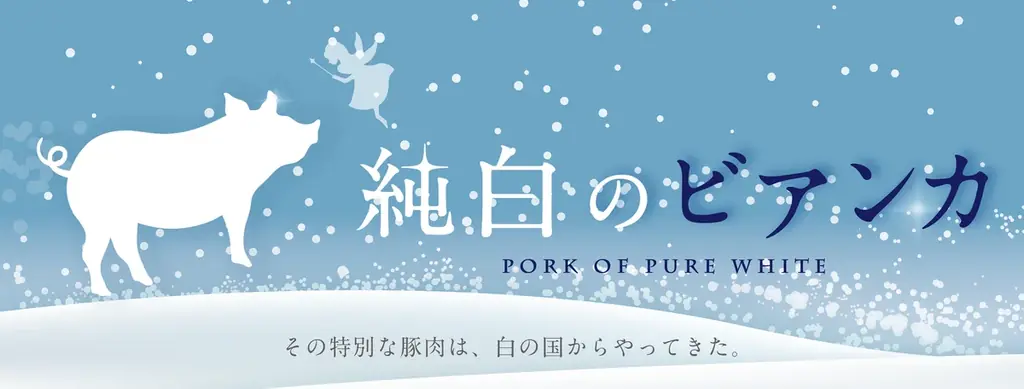 コロナ禍で売上9割減から、7億円へV字回復した老舗精肉店。ブランド豚「純白のビアンカ」を武器に、全国展開へ向けた販売パートナーを募集 画像 4