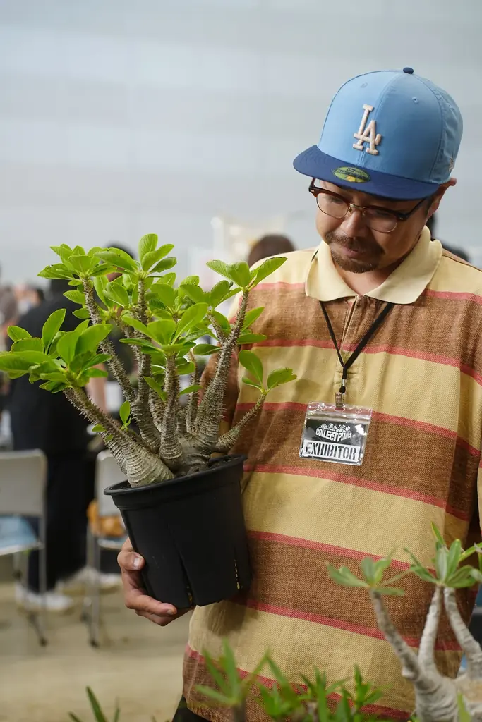 開催迫る｜前回約5,000人を動員した植物イベント「Collect Plants」第2回、熊本で5/9-10開催 画像 10