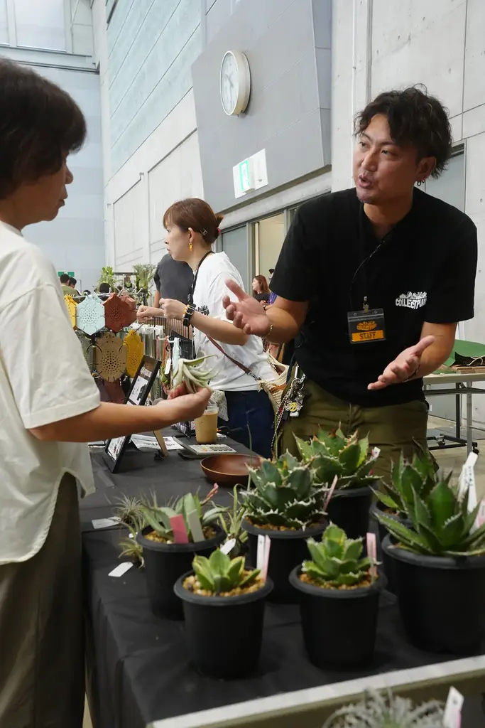 開催迫る｜前回約5,000人を動員した植物イベント「Collect Plants」第2回、熊本で5/9-10開催 画像 4
