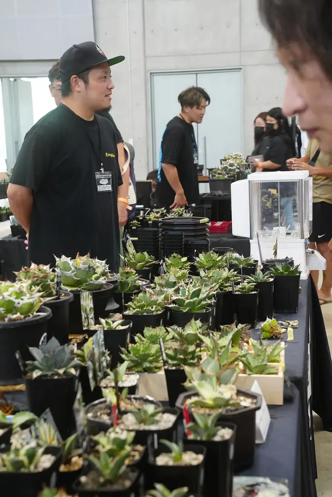 開催迫る｜前回約5,000人を動員した植物イベント「Collect Plants」第2回、熊本で5/9-10開催 画像 5