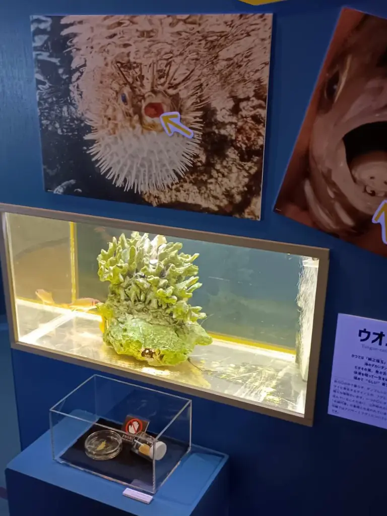 【沖縄】寄生虫をテーマにしたイベント「寄生虫 パラサイトワールド」開催中！！ 画像 2