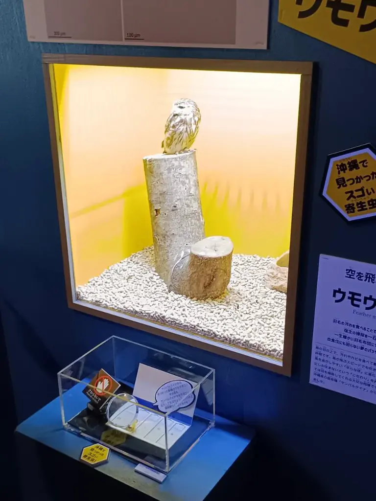 【沖縄】寄生虫をテーマにしたイベント「寄生虫 パラサイトワールド」開催中！！ 画像 3