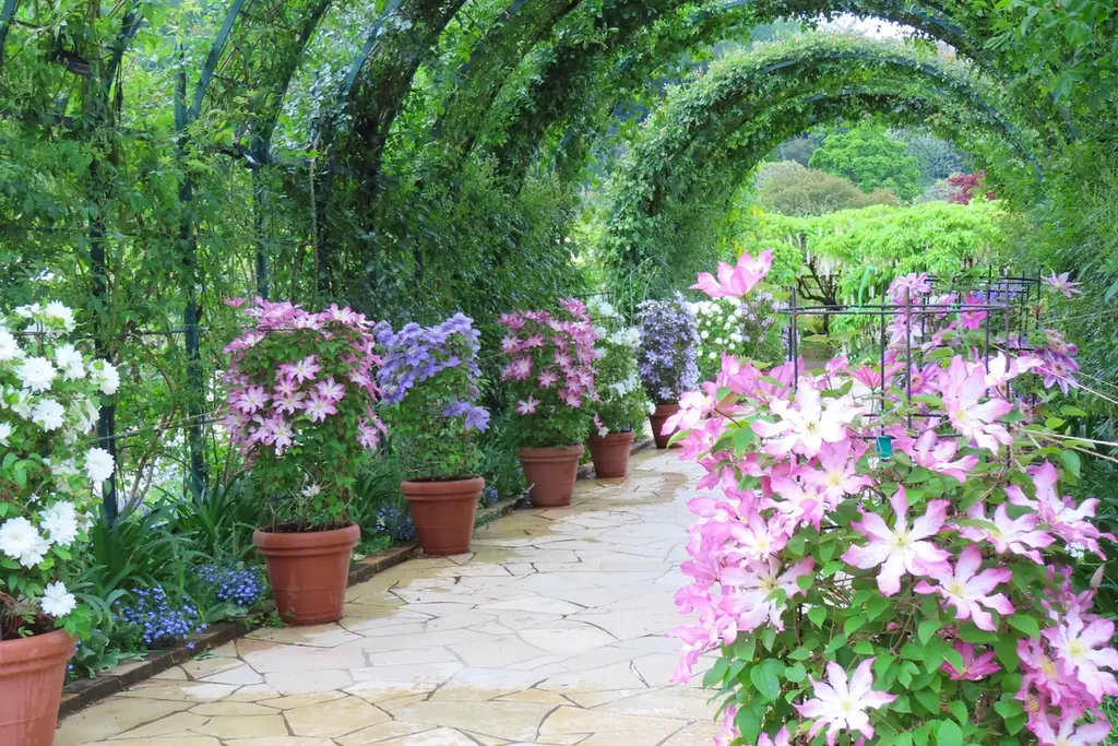 花のステージは、藤の花からローズガーデンへ『５００種２５００株の華やかなバラがまもなく見頃を迎えます！』 画像 24
