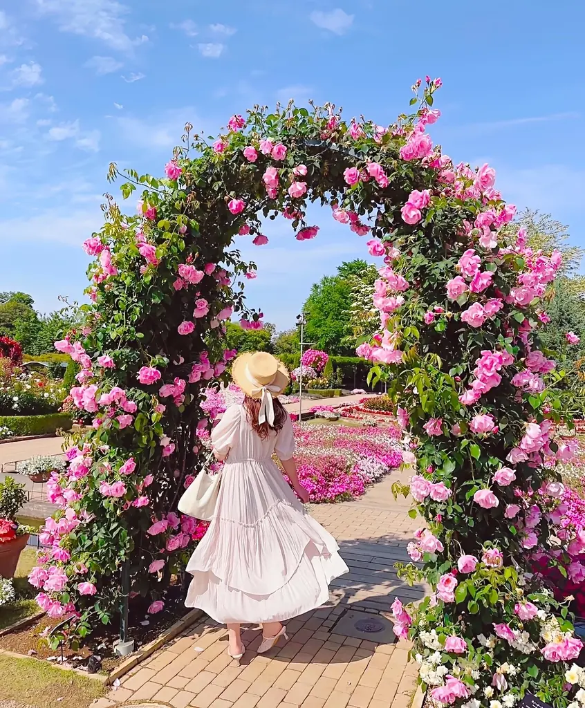 花のステージは、藤の花からローズガーデンへ『５００種２５００株の華やかなバラがまもなく見頃を迎えます！』 画像 7
