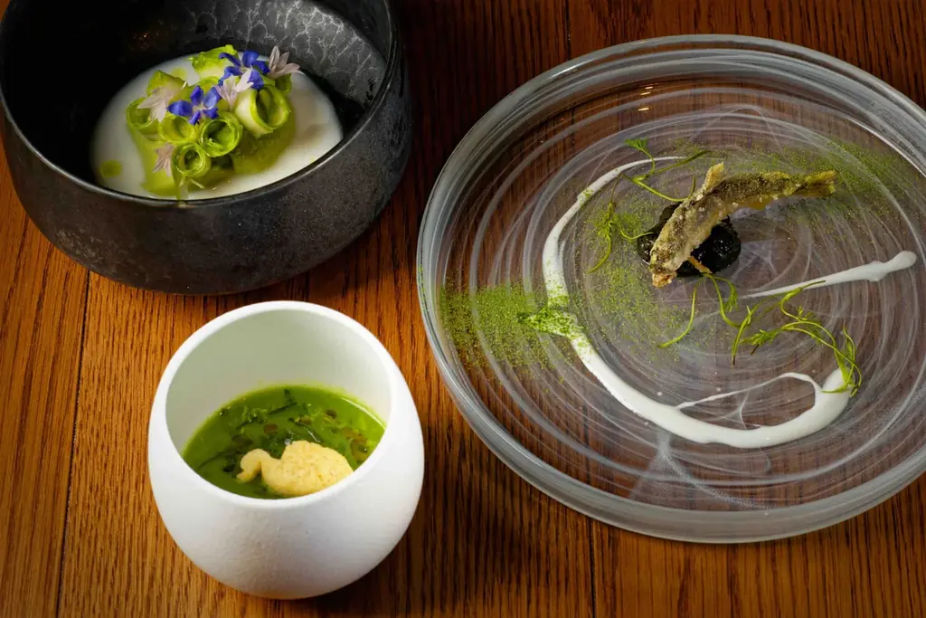 「ありがとうに値段がつく時代」一石三鳥グループ日本初チップ制度×回遊バウチャー開始 画像 17