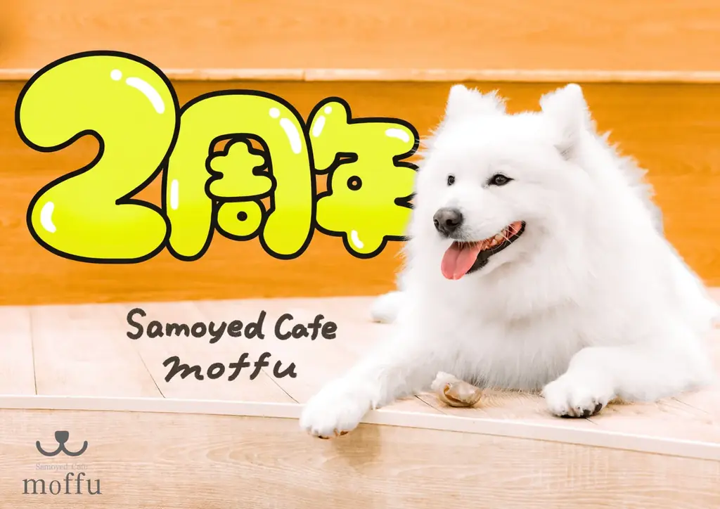 サモエドカフェmoffu2周年