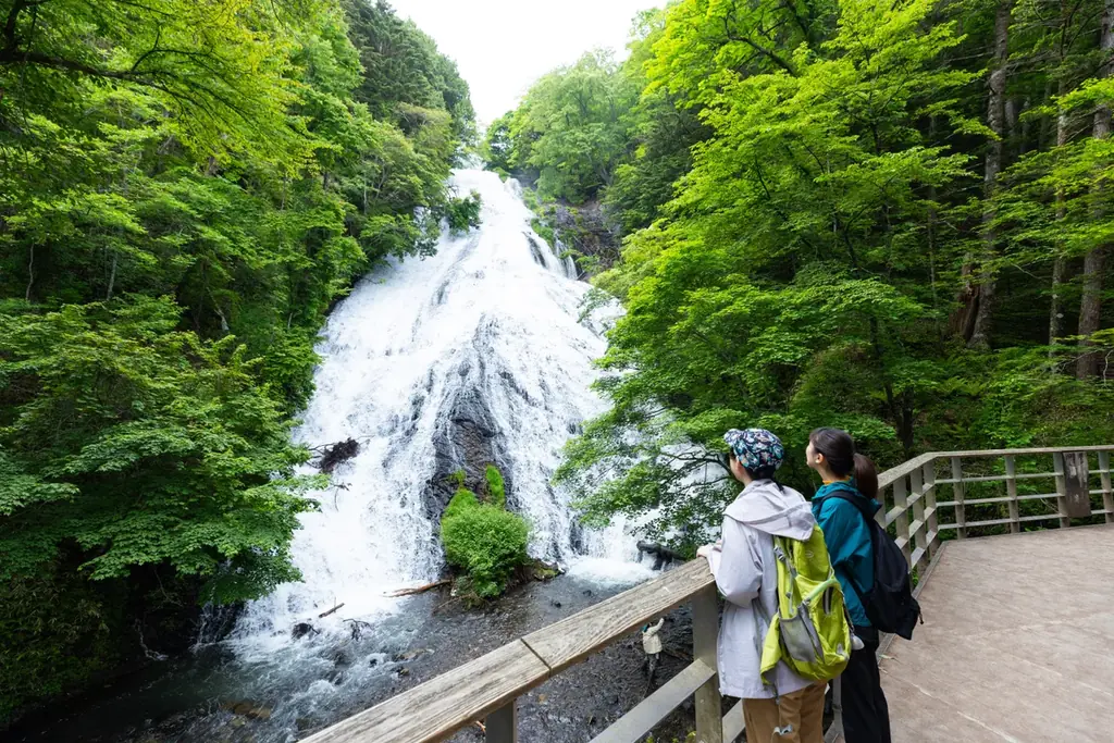 遅い春を迎え初夏に向かう奥日光　雄大な自然と景色を満喫しませんか　休暇村日光湯元「スタッフと行く　奥日光ネイチャーハイキング」を5月11日より開始 画像 2