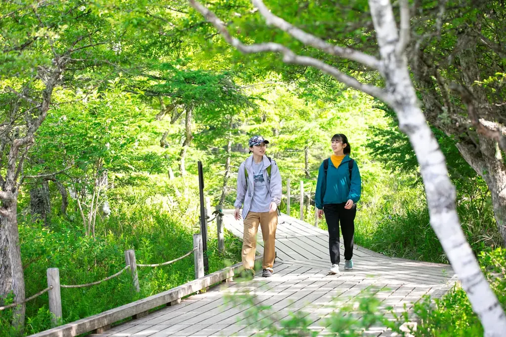 遅い春を迎え初夏に向かう奥日光　雄大な自然と景色を満喫しませんか　休暇村日光湯元「スタッフと行く　奥日光ネイチャーハイキング」を5月11日より開始 画像 3