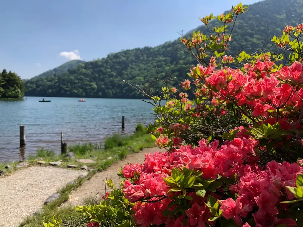 遅い春を迎え初夏に向かう奥日光　雄大な自然と景色を満喫しませんか　休暇村日光湯元「スタッフと行く　奥日光ネイチャーハイキング」を5月11日より開始 画像 4