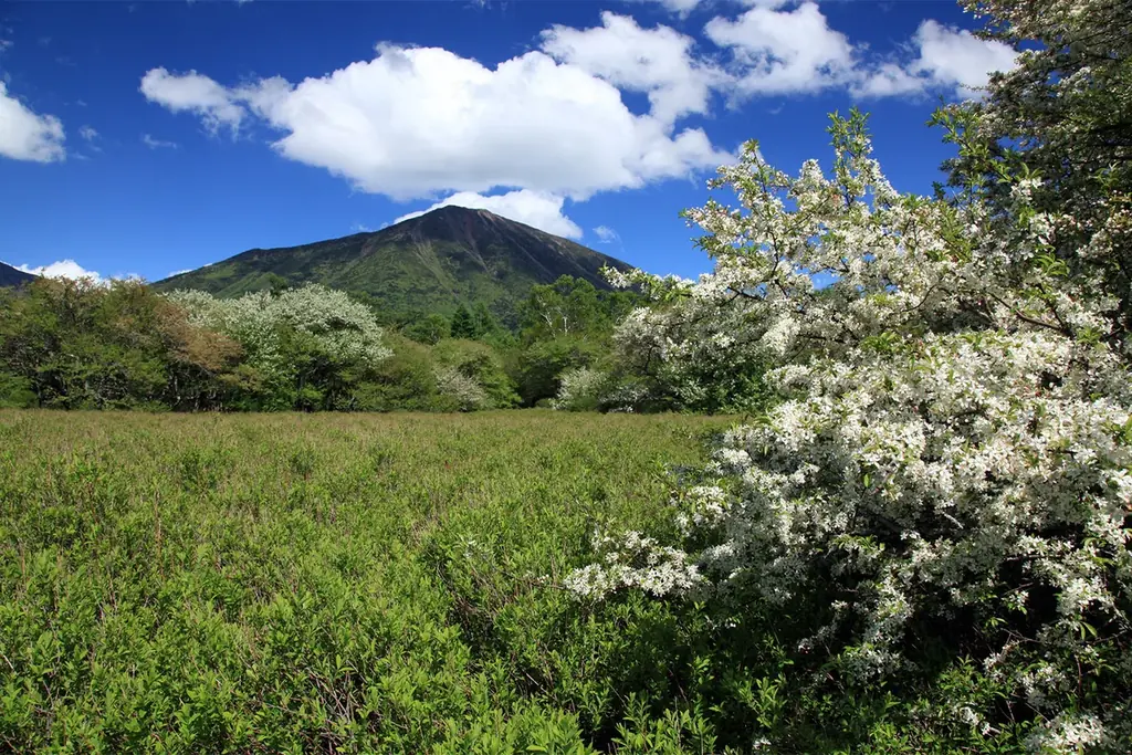 遅い春を迎え初夏に向かう奥日光　雄大な自然と景色を満喫しませんか　休暇村日光湯元「スタッフと行く　奥日光ネイチャーハイキング」を5月11日より開始 画像 5