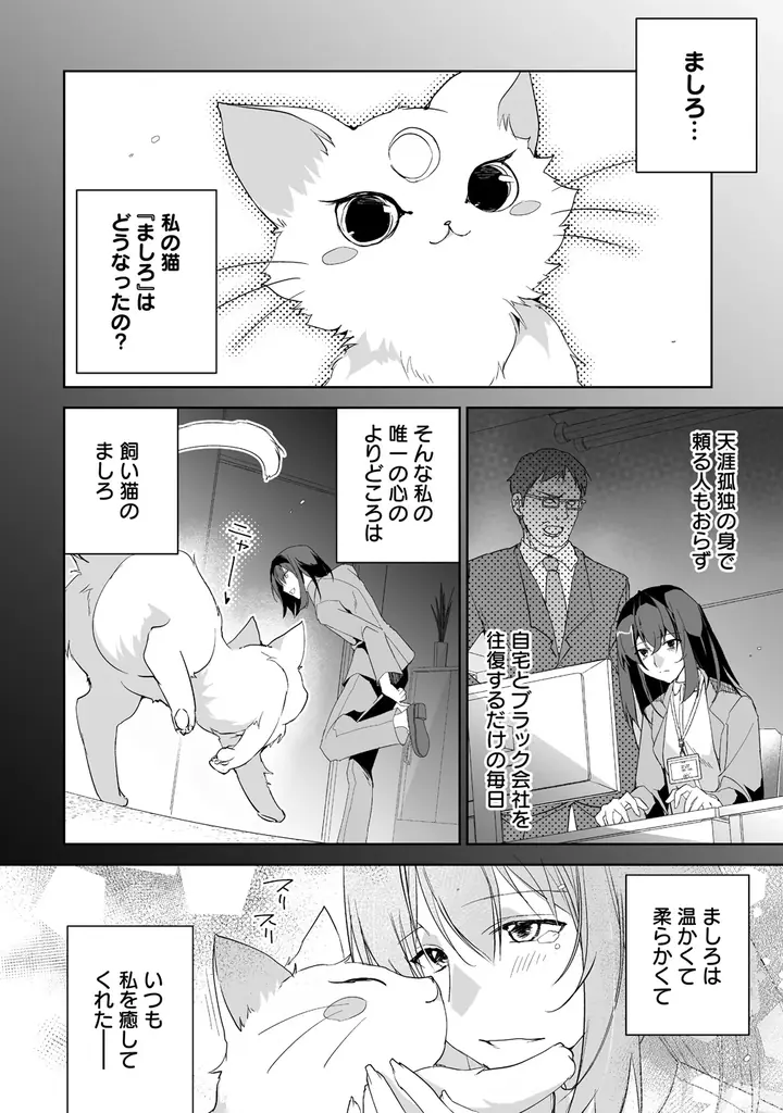 幼女聖女とレベル∞猫神さまが猫パンチ無双!!最強の愛猫との癒され異世界旅♪『転生幼女は愛猫とのんびり旅をする』第１巻5月7日(木)発売!! 画像 11