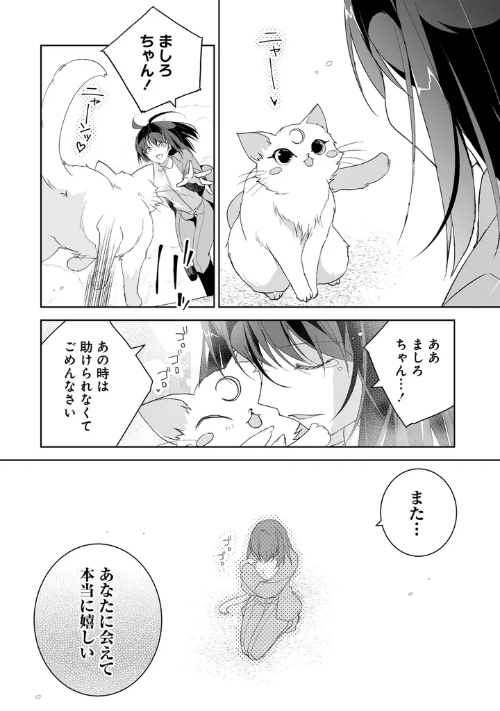 幼女聖女とレベル∞猫神さまが猫パンチ無双!!最強の愛猫との癒され異世界旅♪『転生幼女は愛猫とのんびり旅をする』第１巻5月7日(木)発売!! 画像 13