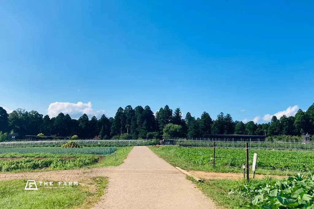 泊まらない、初夏のグランピング旅。千葉・香取の農園リゾート THE FARM、夜まで過ごせる日帰りプランを期間限定で提供 画像 2
