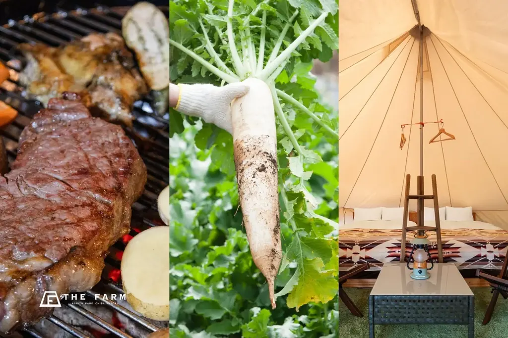 泊まらない、初夏のグランピング旅。千葉・香取の農園リゾート THE FARM、夜まで過ごせる日帰りプランを期間限定で提供 画像 3