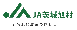 《昨年好評につき今年も実施》本日5月7日(木)よりランチブッフェ限定イベント、日本一のメロン生産地『茨城県鉾田市』のブランドメロン食べ放題イベント「メロンパーティー」開催！ 画像 3