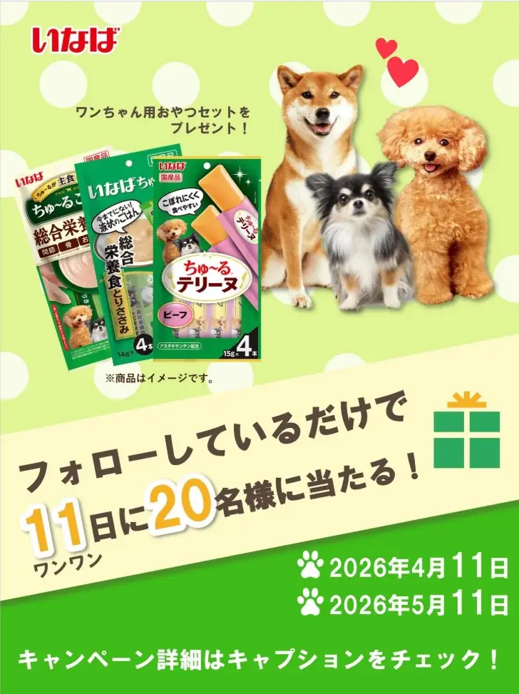 いなばペットフード　“ちゅ～るテリーヌ”が当たる5月のInstagramフォローキャンペーンを開催 画像 1
