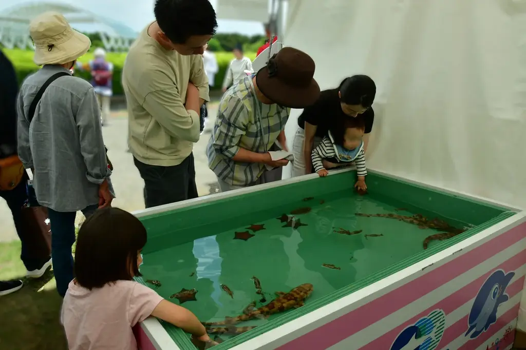 「ひたちなか・大洗・東海PRの日」「ひたちなかフラフェスティバル」を開催します（国営ひたち海浜公園） 画像 4