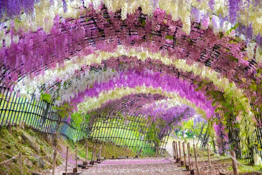 【北九州市】「北九州の奥座敷・河内」が舞台！国定公園内の広大な敷地と3,000㎡の施設を、レクリエーションの拠点として再生する事業者を募集します。 画像 3