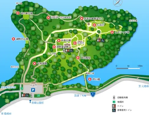 恩賜箱根公園　恒例イベント！「初夏のバラ展」を開催します！ 画像 3