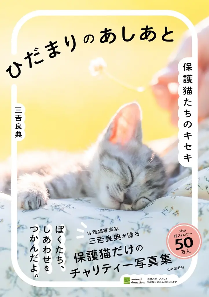 保護猫への支援につながる！ 売上の3％を寄付する写真集『ひだまりのあしあと　保護猫たちのキセキ』を発売 画像 1