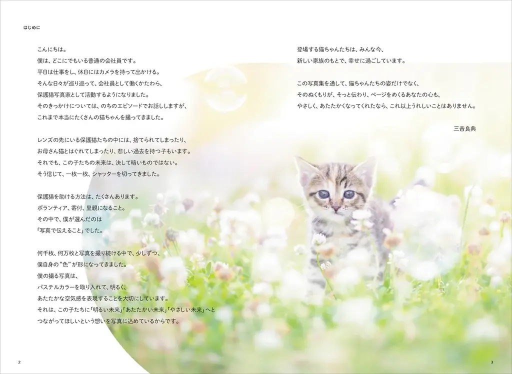 保護猫への支援につながる！ 売上の3％を寄付する写真集『ひだまりのあしあと　保護猫たちのキセキ』を発売 画像 2
