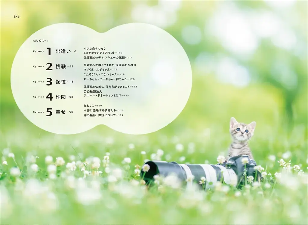 保護猫への支援につながる！ 売上の3％を寄付する写真集『ひだまりのあしあと　保護猫たちのキセキ』を発売 画像 3