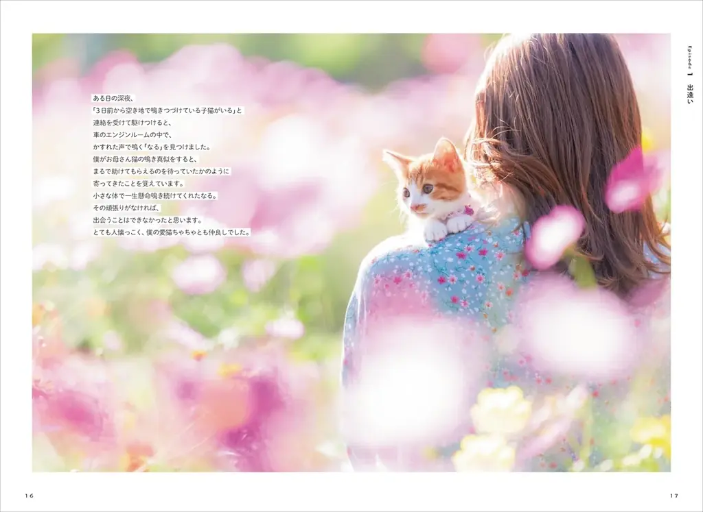 保護猫への支援につながる！ 売上の3％を寄付する写真集『ひだまりのあしあと　保護猫たちのキセキ』を発売 画像 4