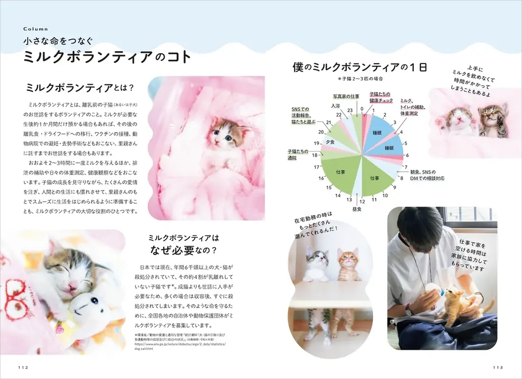 保護猫への支援につながる！ 売上の3％を寄付する写真集『ひだまりのあしあと　保護猫たちのキセキ』を発売 画像 7