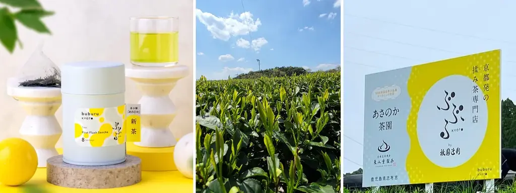 京都駅で期間限定販売、希少種「あさのか」新茶登場