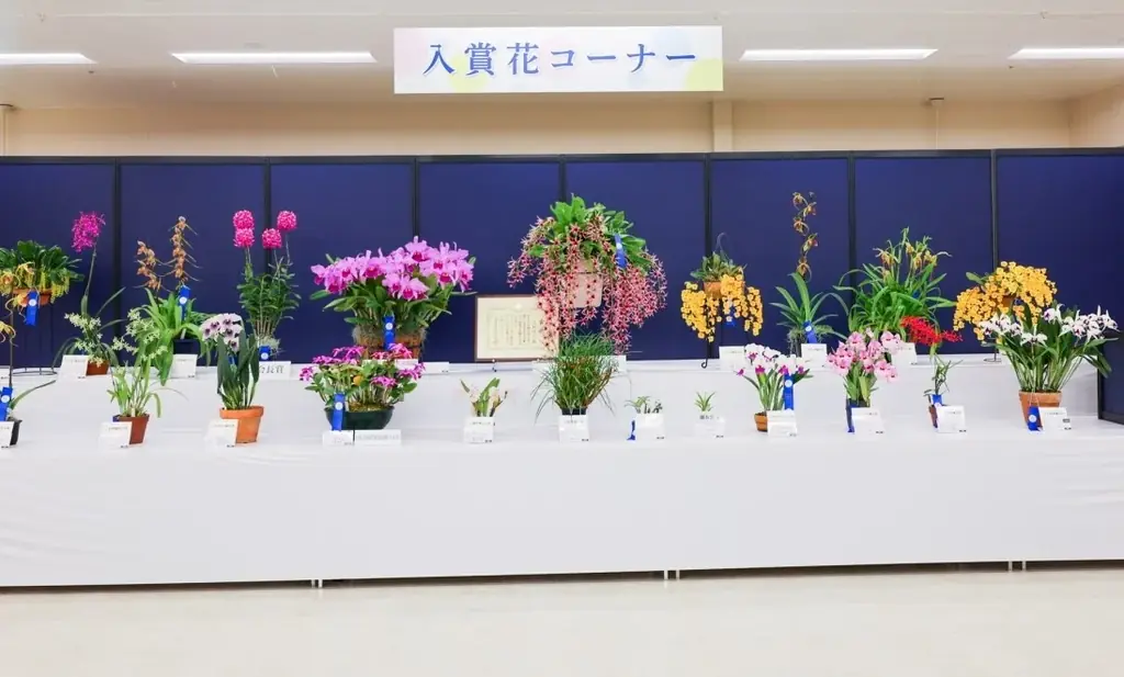 第65回蘭友会らん展 in サンシャインシティ ～オーキッド・カップ2026～6月4日(木)～6月7日(日)　入場無料 画像 2
