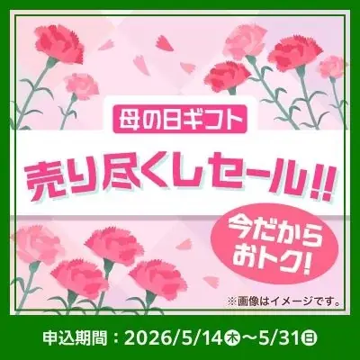 最大41％OFFの特別価格で！母の日限定デザインのギフト菓子をアウトレット価格で提供する「売り尽くしセール」をファミマオンラインで開催 画像 8