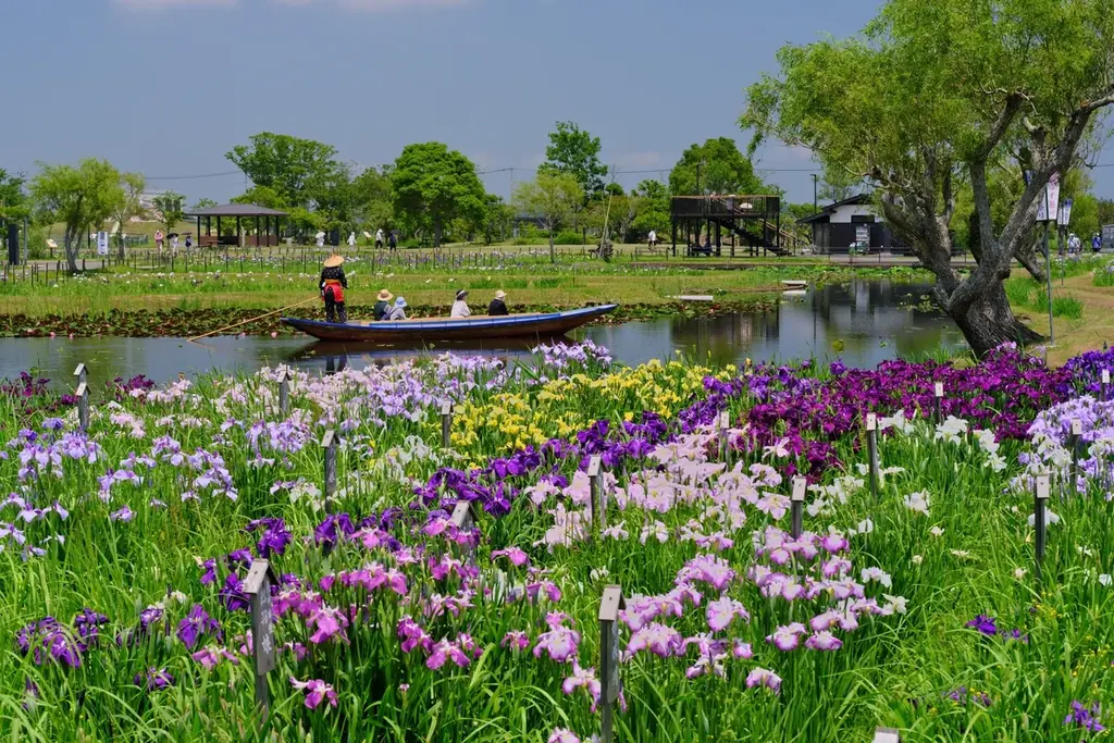 【千葉・佐原】800坪の日本庭園に竹あかりが浮かぶ。庭園レストラン吉庭が贈る初夏限定イベントを開催 画像 9