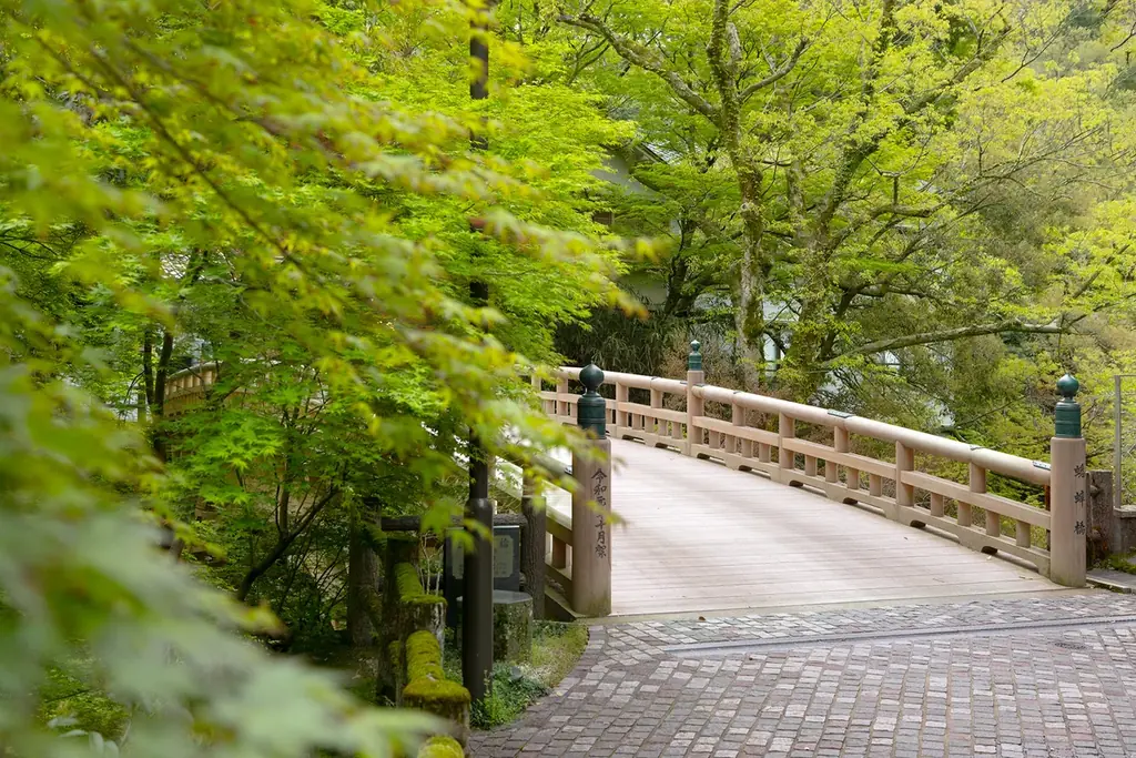 6～7月限定【初夏を愉しむ鮎会席】地酒３種飲み比べ ～ 芭蕉が愛した山中温泉×湯めぐり街あるき帖×山中節の夕べ etc. 画像 19