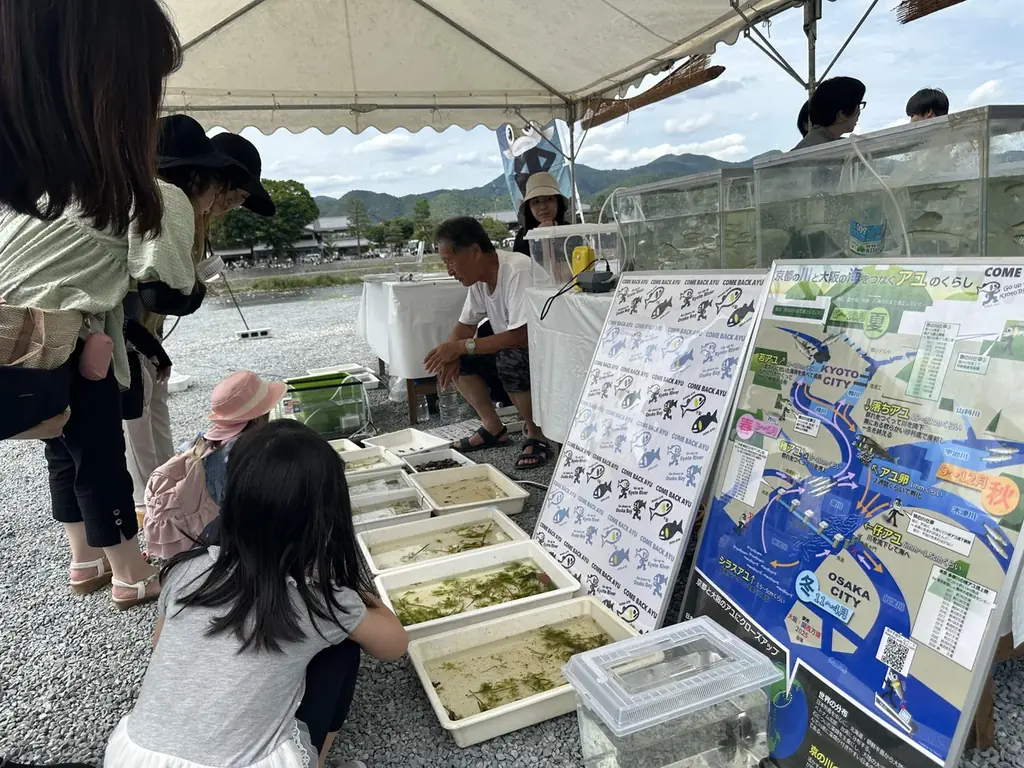 【1日400名限定】京都嵐山6月若鮎祭り　鮎の塩焼き試食チャリティーイベント 画像 5