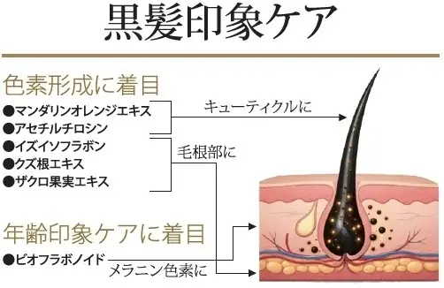 memi’s angelly hair の新商品「スカルプセラムkokuikuＥＸ」を5月18日より発売 画像 4