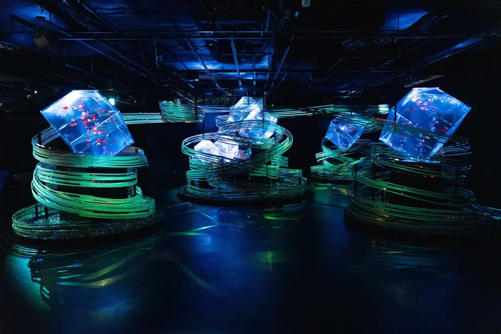 今年の夏も名古屋で金魚涼み！ 「アートアクアリウム展 名古屋2026」特設サイトオープン！ 画像 5