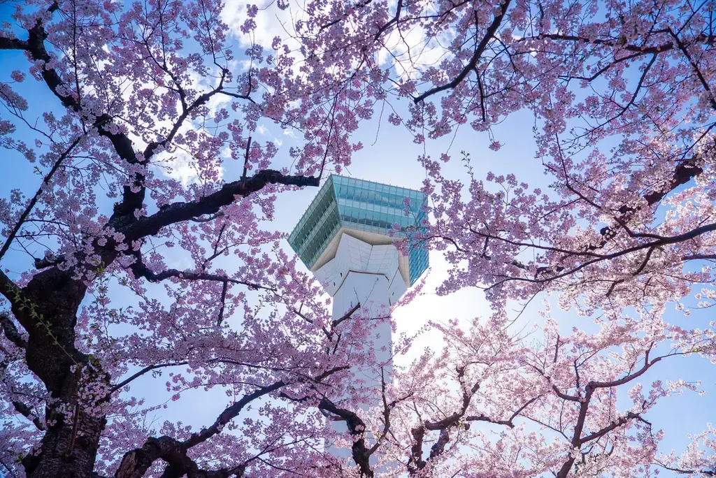 元コンビニを一棟貸ホテルに――函館・宝来町に地域とつながる宿『NEXUS HOTEL函館』誕生 画像 11