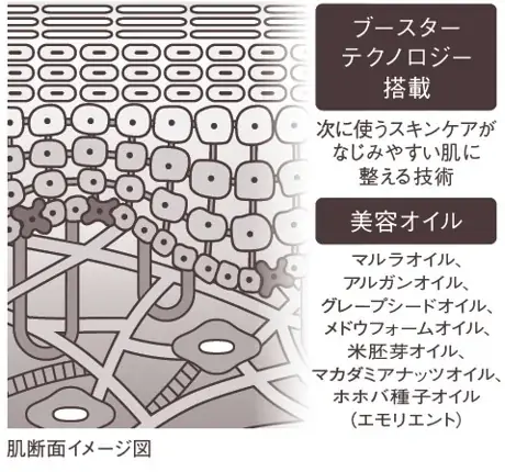 肌の生まれ変わりを妨げる角層溜まり※1を除去　美しさを巡らせるエイジングケア※2洗顔アイテムが誕生　資生堂とコスモス薬品の共同企画による洗顔料・メイク落としを新発売 画像 4