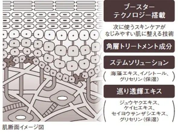 肌の生まれ変わりを妨げる角層溜まり※1を除去　美しさを巡らせるエイジングケア※2洗顔アイテムが誕生　資生堂とコスモス薬品の共同企画による洗顔料・メイク落としを新発売 画像 7