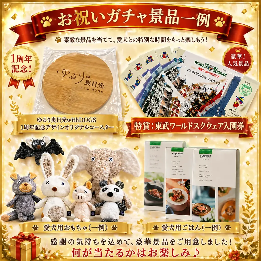 【開業1周年】愛犬お祝いガチャが登場！奥日光・愛犬と泊まれる温泉旅館が4大特典付プラン販売開始｜2026年5月より 画像 6