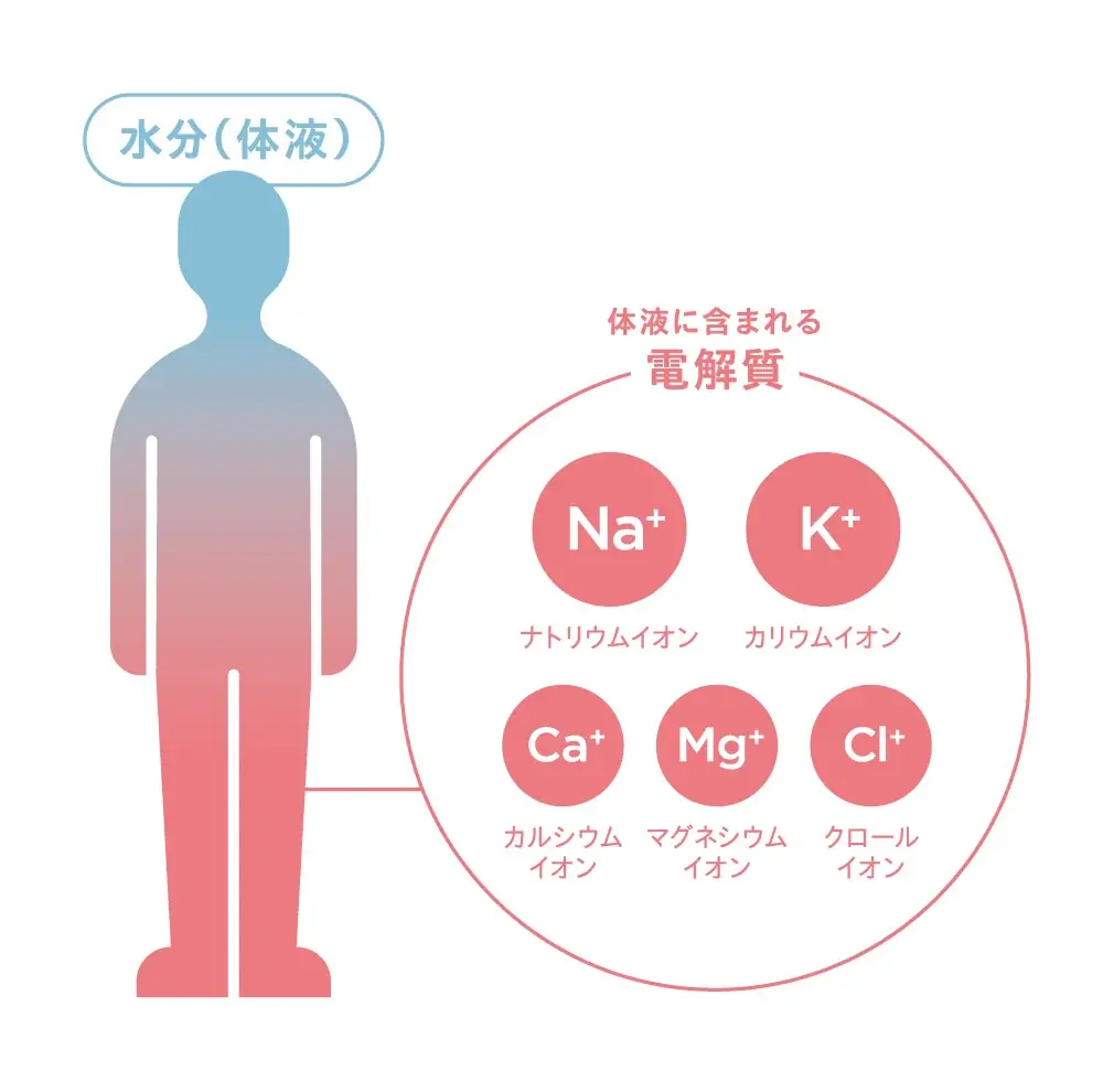 キレイな人は知っている。 —— 電解質という答え。「シンプリス エレクトロライト デイリー 電解質補給」「シンプリス エレクトロライト アクティブ 電解質補給」2026年5月19日(火)新発売 画像 2