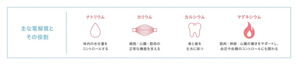 キレイな人は知っている。 —— 電解質という答え。「シンプリス エレクトロライト デイリー 電解質補給」「シンプリス エレクトロライト アクティブ 電解質補給」2026年5月19日(火)新発売 画像 3