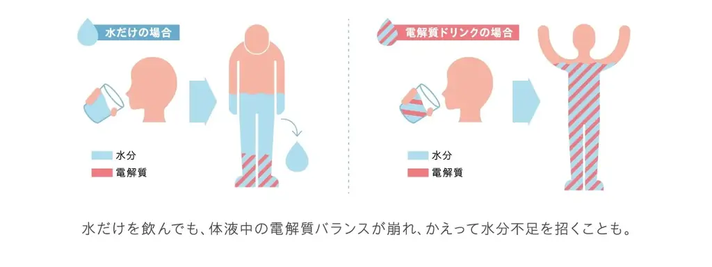 キレイな人は知っている。 —— 電解質という答え。「シンプリス エレクトロライト デイリー 電解質補給」「シンプリス エレクトロライト アクティブ 電解質補給」2026年5月19日(火)新発売 画像 4