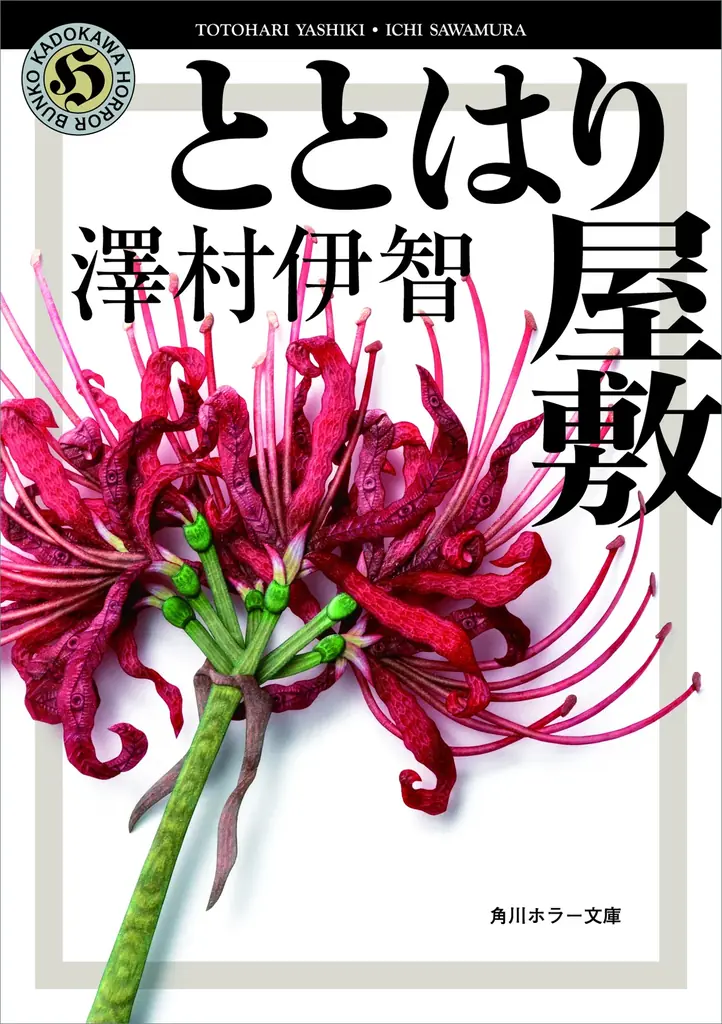 【シリーズ累計85万部突破！】デビュー10周年の澤村伊智が描く、比嘉姉妹はじまりの物語『ざんどぅまの影』2026年5月19日発売 画像 4