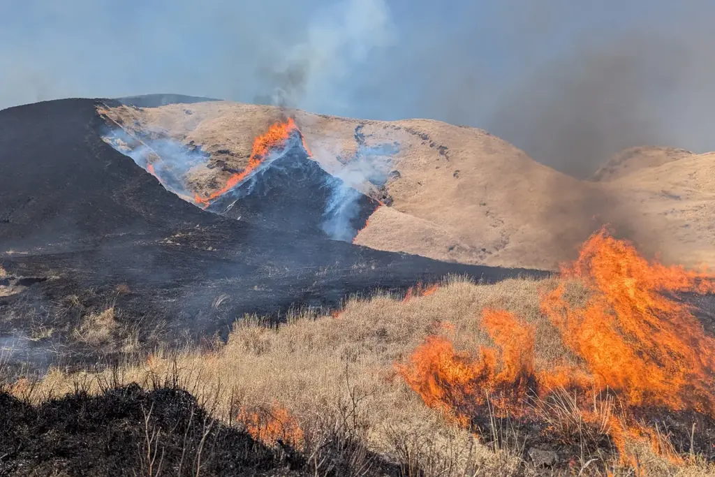 【株式会社温故知新】火山が育んだ阿蘇の大地で、獲り、熾し 、味わう人が本来の感覚へ還る滞在「阿蘇リトリート HONO by 温故知新」2026年11月開業予定 画像 7